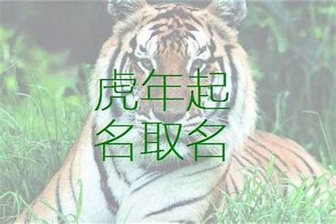 16劃的字屬虎|屬虎起名宜忌，屬虎取名禁忌，屬虎人取名字庫